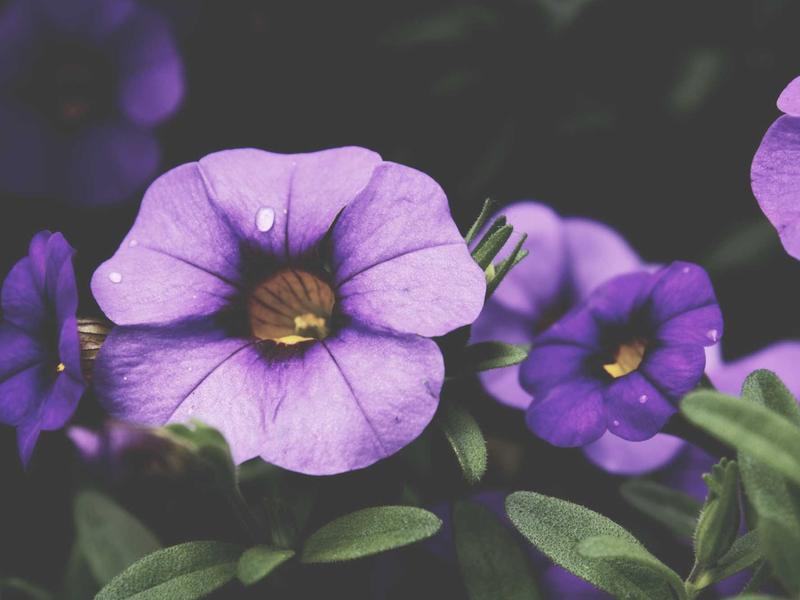 sudoku daily practice screenshot 3